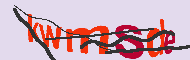 キャプチャ(CAPTCHA)認証コード