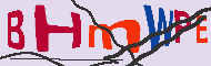 キャプチャ(CAPTCHA)認証コード
