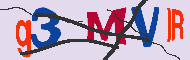 キャプチャ(CAPTCHA)認証コード