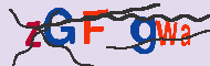 キャプチャ(CAPTCHA)認証コード